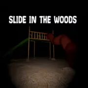 Slide in the Woods cover